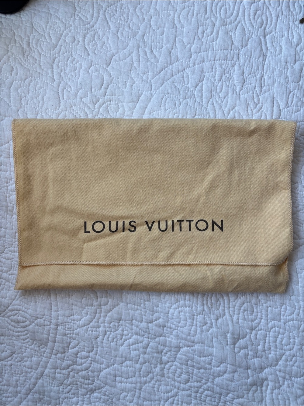 Louis Vuitton Black Epi Alma BB with Strap and Dust Bag - Picture 14 of 14